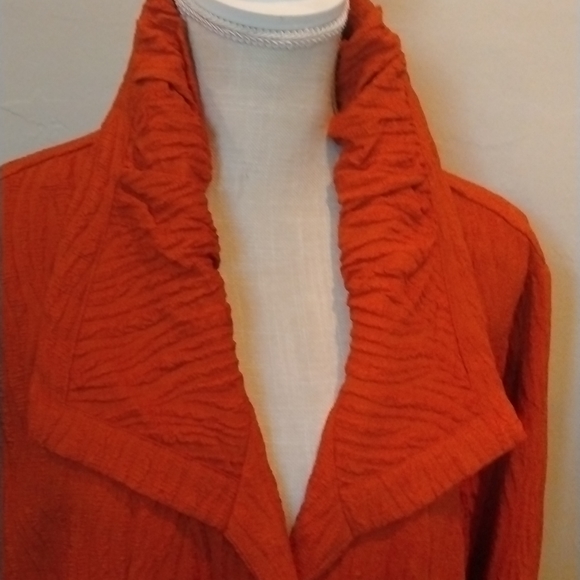 Sz L - Ali Miles NWT Rust high collar jacket w/rippled pattern. Big buttons - Picture 5 of 5